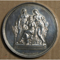 Médaille Argent, écoles Impériale Et Spéciales Des Beaux Arts 1869, Attribué à Pétua (11), Lartdesgents.fr - Royaux / De Noblesse