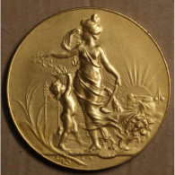 Médaille "Exposition Européenne De Cannes 1900, Attribué à Pétua (12), Lartdesgents.fr - Monarquía / Nobleza