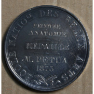 Médaille "écoles Nationale Des Beaux Arts 1873, Attribué à Pétua (13), Lartdesgents.fr - Adel