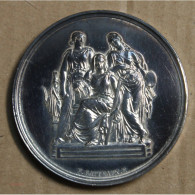 Médaille Argent écoles Nationale Des Beaux Arts 1872 , Attribué à Pétua (14), Lartdesgents.fr - Monarquía / Nobleza