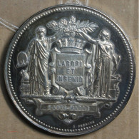 Médaille Argent "Société Artistique De La Haute Marne" Attribué à Pétua 1893 (22), Lartdesgents.fr - Monarchia / Nobiltà