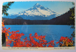 ETATS-UNIS - OREGON - Mount Hood And Lost Lake - Altri & Non Classificati