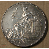 Médaille "Exposition Des Beaux Arts Vesoul 1897, Pétua (39), Lartdesgents.fr - Monarquía / Nobleza