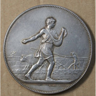 Médaille Argent Agriculture Nice Et Alpes-Maritimes Par J. Lagrange , Lartdesgents.fr - Royal / Of Nobility