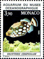 Monaco Poste N** Yv:1486 Mi:1707 Balistoides Conspicillum - Unused Stamps