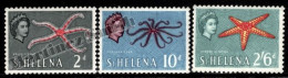 Saint Helena 1961 Yvert 143, 148, 151, Definitive Values, Sea Fauna, Starfish - Individual Stamps - MNH - Sainte-Hélène