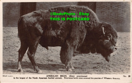 R454609 W. And K. London. American Bison. No. 28. Wild And Kray. RP - Other & Unclassified