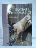 Praktische Pferdemassage. Techniken Zur Muskellockerung Und Dehnung Von Ettl, Renate - Zonder Classificatie