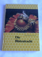 Die Blütentracht Von Gleim, Klaus-Heinrich - Unclassified