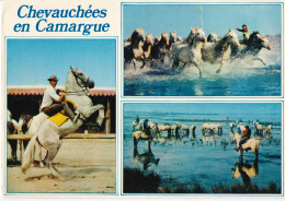 Chevauchée En Camargue - Sonstige & Ohne Zuordnung