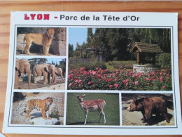 69 - LYON - Parc De La Tête  D'Or  - Éléphants- Tigre - Ours -Lion - Elefanti
