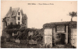 Sarthe , Ballon , Vieux Château Et Porte - Autres & Non Classés