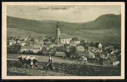 AK Stadtsteinach, Panoramablick Mit Landwirtschaftlichem Ochsengespann  - Sonstige & Ohne Zuordnung