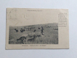 Carte Postale Ancienne (1909) Bethléem Champ De Booz - Les Bergers - Collection Mulsant Chevalier - Palästina