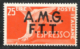 REF094 > ITALIE TRIESTE Express < Yv N° 2 * MH * Dos Visible - Correo Urgente