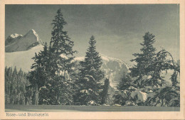 Postcard Germany Ross-und Buchstein - Sonstige & Ohne Zuordnung
