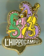 AB-HIPPOCAMPUS Discothèque - Dieren