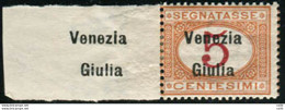 Venezia Giulia - Segnatasse 5 C. Soprastampa Ripetuta Sul Margine - Emissions Locales/autonomes