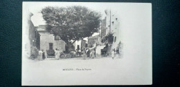 06 , Mougins ,   La Place Du Peyrou Et Ses Habitants Début 1900 - Mougins