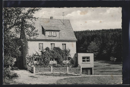 AK Wildensee Im Spessart, Pension Haus Waldfrieden Von Georg Beck  - Sonstige & Ohne Zuordnung