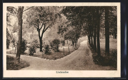 AK Bildhausen B. Münnerstadt, St. Josefs-Congregation, Lindenallee  - Other & Unclassified