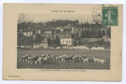 Château-Thierry, Au Pied Du Vieux Château (lt 10) - Chateau Thierry