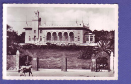 TUNISIE - LE BELVEDERE - CASINO - ATTELAGE - - Tunisie