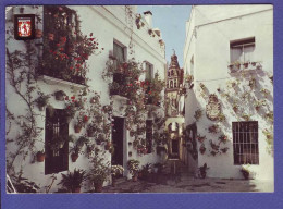 ESPAGNE - CORDOUE - RUELLE ET PLACE DES FLEURS -  - Córdoba
