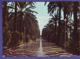 ESPAGNE - ALICANTE - PROMENADE -  - Alicante