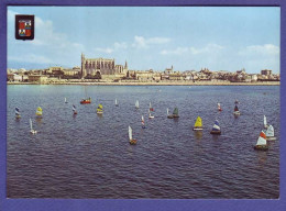 ESPAGNE - PALMA DE MAJORQUE - CATHEDRALE - REGATE D'OPTIMIST -  - Palma De Mallorca