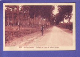 40  - LANDES - ROUTE De La FORET DesPINS - ANIMEE - - Aquitaine