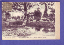 41 - LAMOTTE BEUVRON - PATURAGE Au BORD Du BEUVRON -  - Lamotte Beuvron