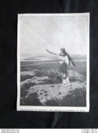 Sulle Rovine Di Cartagine: Delvair Nel Sacerdozio Di Tanit Stampa Del 1907 - Sonstige & Ohne Zuordnung