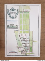 Veduta E Pianta Villa Medicea Di Careggi Nuovo Firenze Toscana 700 Litografia - Carte Geographique