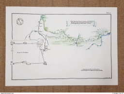 Pianta Città E Fortezza Medicea Di San Sepolcro Toscana Nel 700 Litografia (1) - Cartes Géographiques