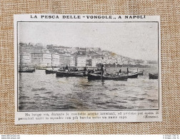 Napoli Nel 1914 La Pesca Delle Vongole Campania - Autres & Non Classés