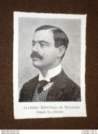 Deputato Nel 1904 Alfredo Minutolo Di Bugnano Di Napoli - Other & Unclassified