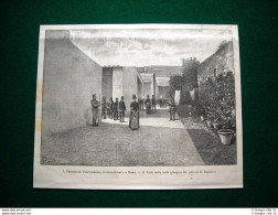 A Roma Nel 1885 - Esposizione Penitenziaria Internazionale, Viale Delle Celle - Before 1900