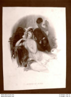 Marvel Of Perù Autore Cochran E Meadows Editore Ackermann Londra Litografia 1837 - Before 1900