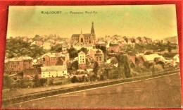 WALCOURT -  Panorama Nord  Est  -  1924  - - Walcourt