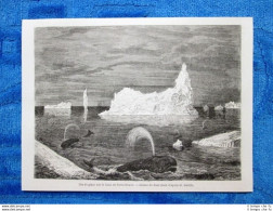 Gravure Année 1861 - Iles De Glace, Terre-Neuve - Isola Di Ghiaccio, Terranova - Avant 1900