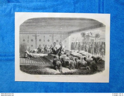 Gravure Année 1863 - Reception Du Voyageur Par Les Rois Du Laos - Avant 1900