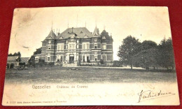 GOSSELIES  -  CHARLEROI  -   Château De Crawez   -  1905   - - Charleroi