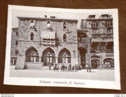 Spalato O Split Nel 1909 Palazzo Comunale Croazia - Autres & Non Classés