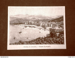 Incisione Del 1891 Sestri Levante Riviera Di Levante - Liguria - Ante 1900