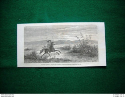 Gravure Année 1860 Cavalier Mohave - Cavaliere Mohave - Voor 1900