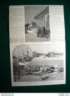 Esposizione Internazionale Di Atlanta Nel 1895 + Ettore Ximenes - Antes 1900