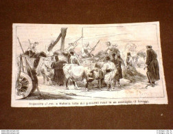Guerra Russia Vs Turchia Nel 1877 Soldati Di Russia Sequestrano Armi A Mahaila - Ante 1900