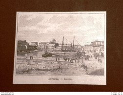Incisione Del 1891 Livorno, La Darsena - Toscana - Ante 1900