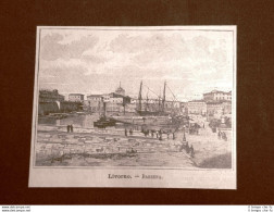 Incisione Del 1891 Livorno, La Darsena - Toscana - Voor 1900